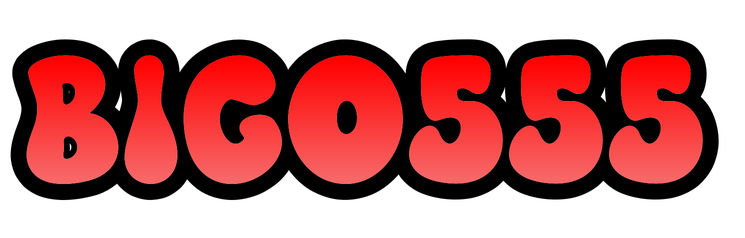 LOGO BIGO555